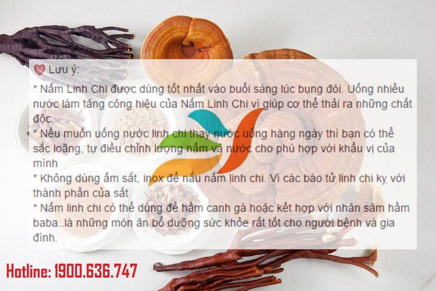 NAM LINH CHI